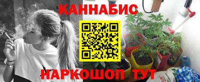 молекула духа Краснодар