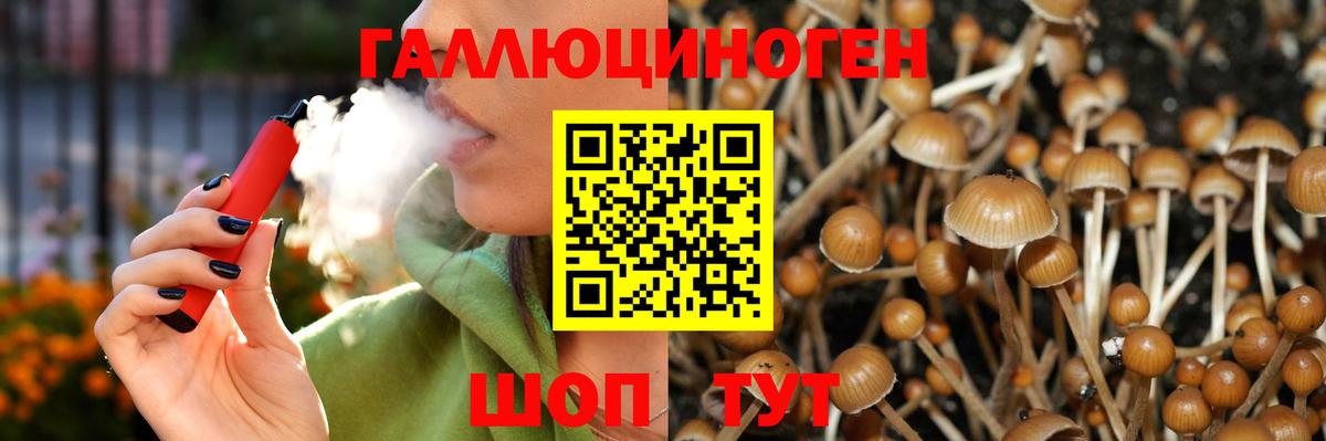 Галлюциногенные грибы Psilocybine cubensis Краснокамск